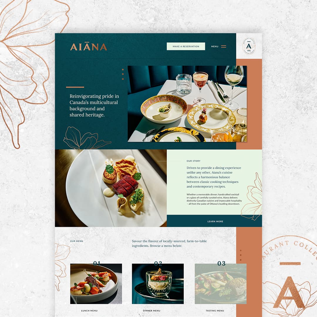 Aiana Website homepage