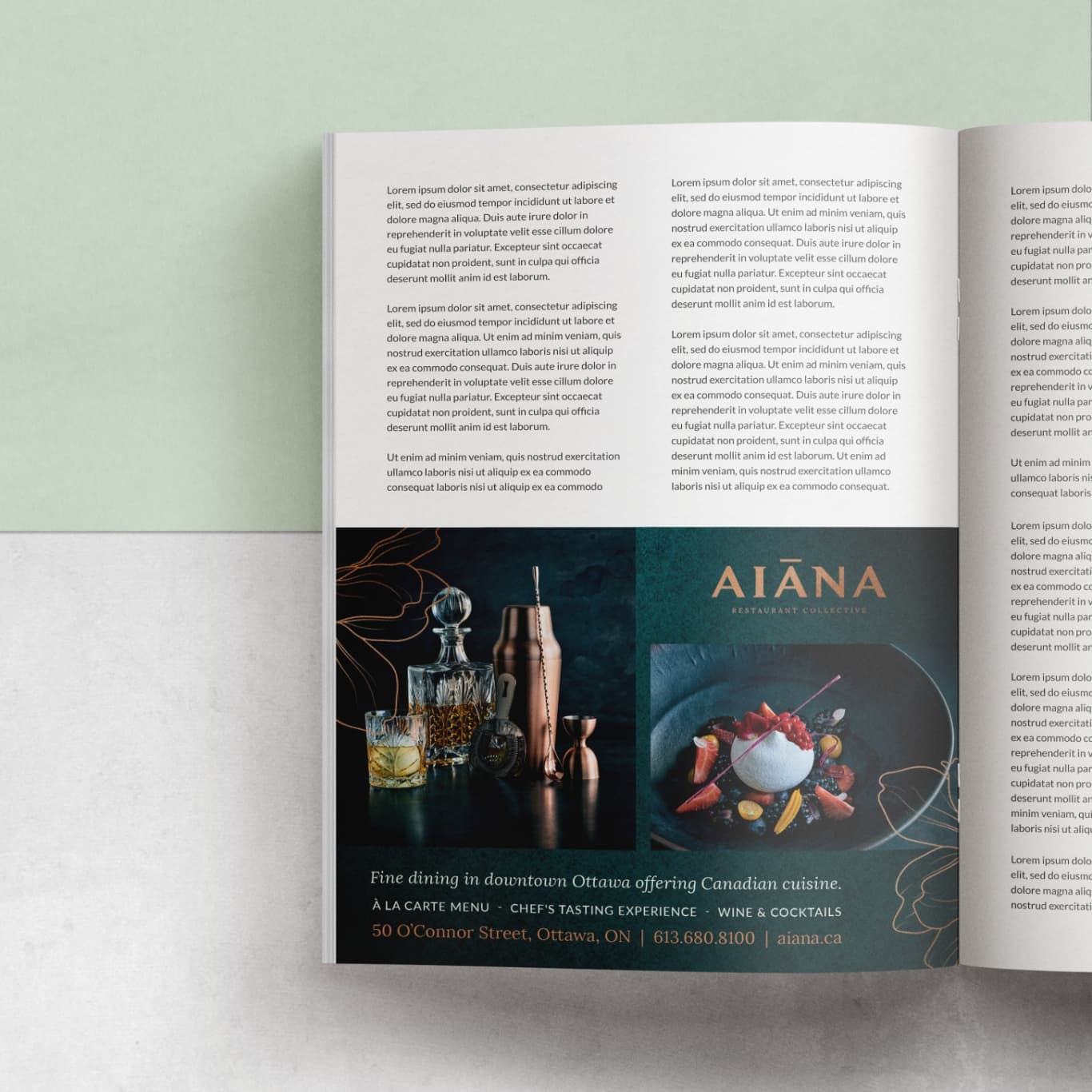 Aiana Magazine sample