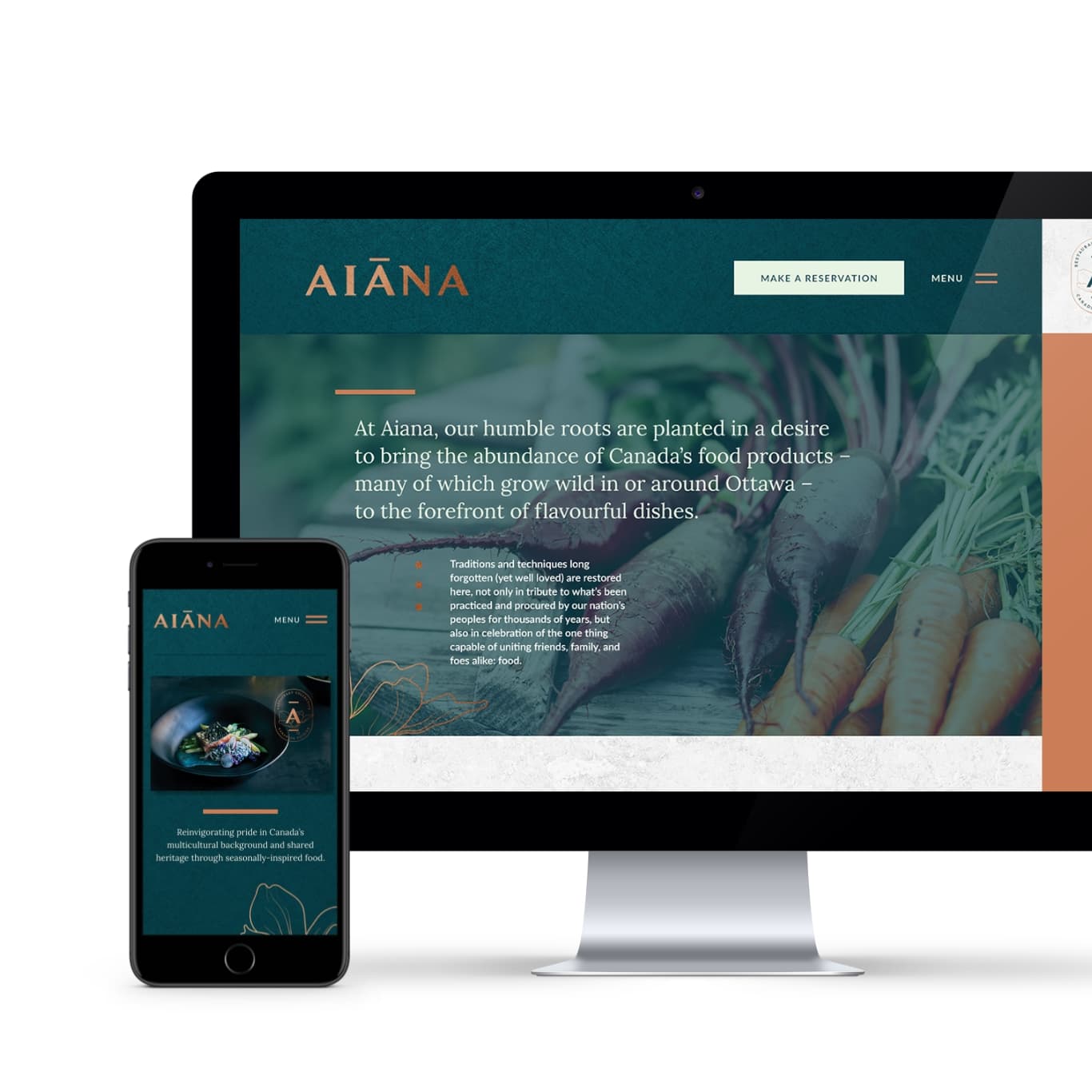 Aiana Webpage Mockup sample