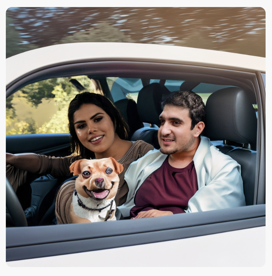 Firefly of young couple and dog in a car