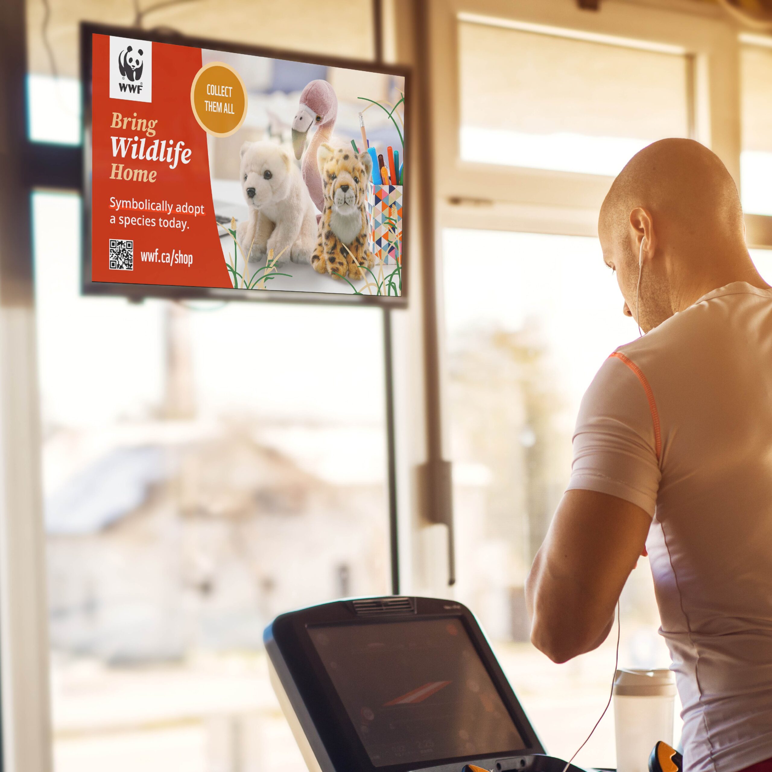 WWF ad showing a polar bear, flamingo and cheetah, on a screen in front of a person on a treadmill.