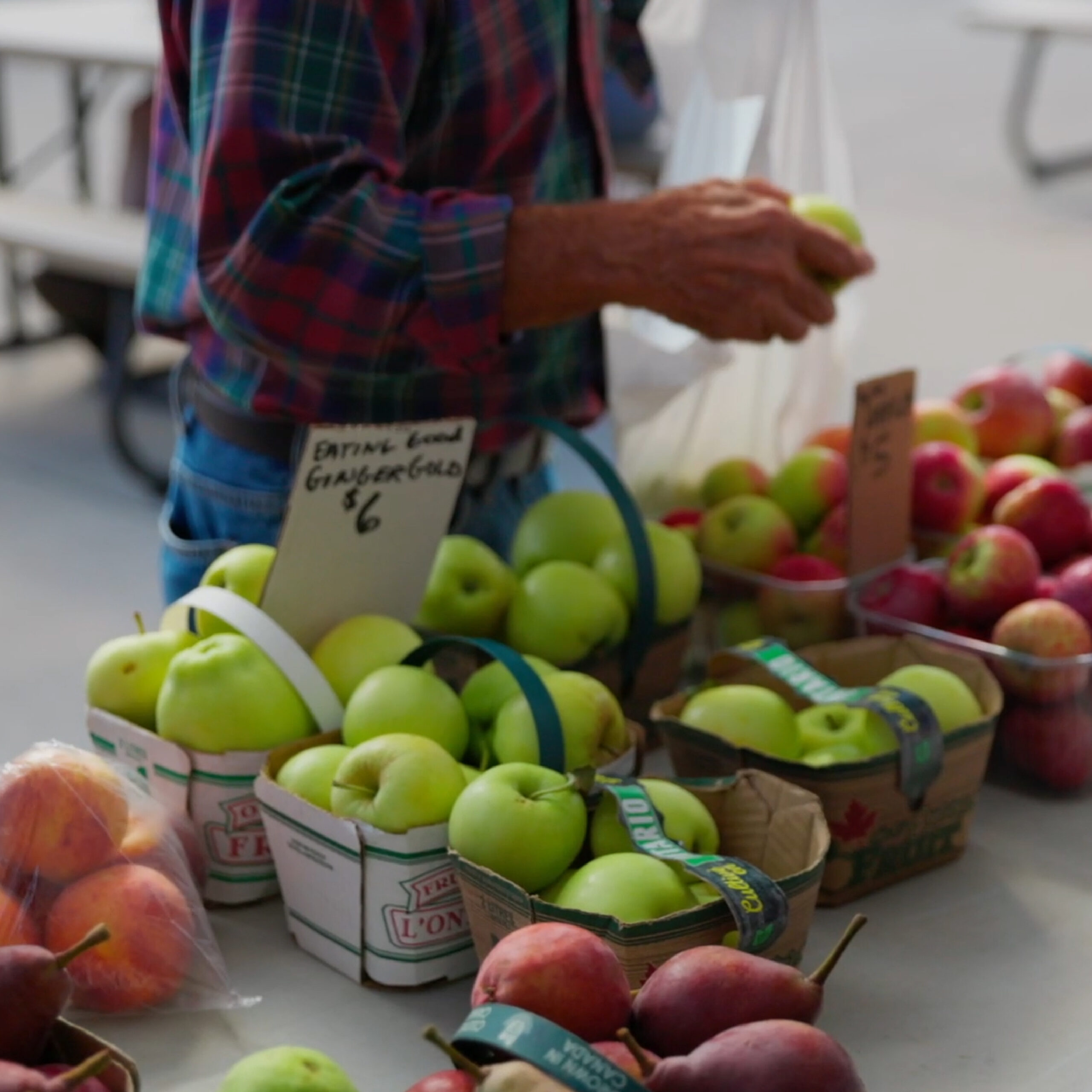 A person in a plaid shirt at a market selling apples.